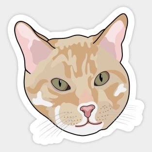 Kitty Face Sticker